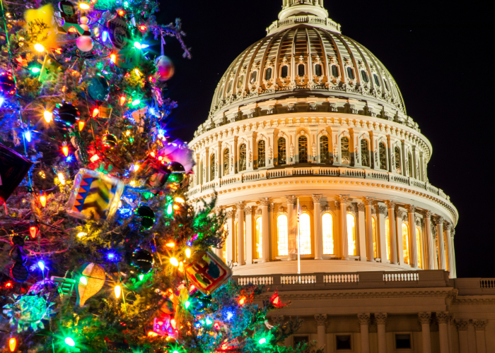 winter in washington dc