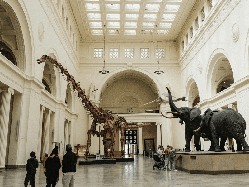 family friendly museum in washington dc