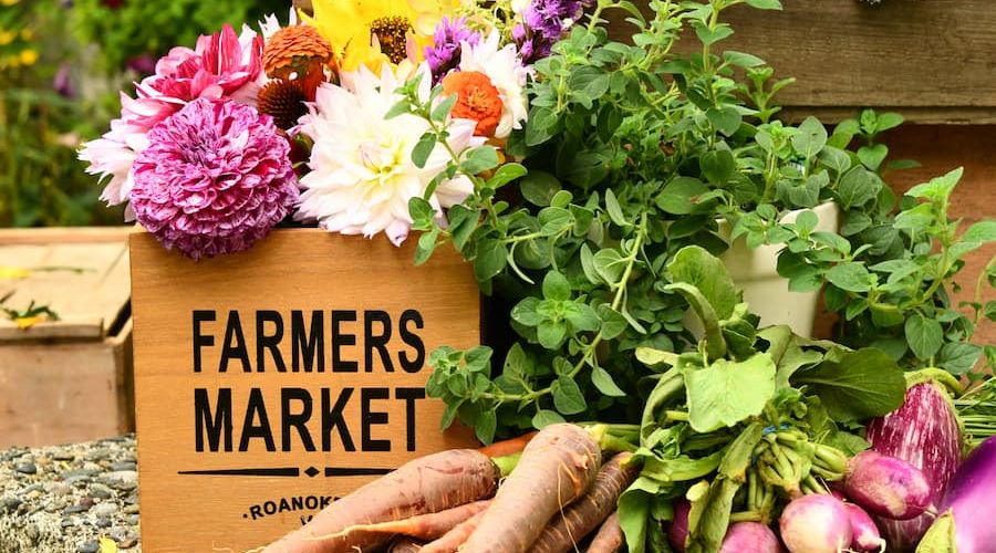 Seasonal Activities Idaho E38D5122