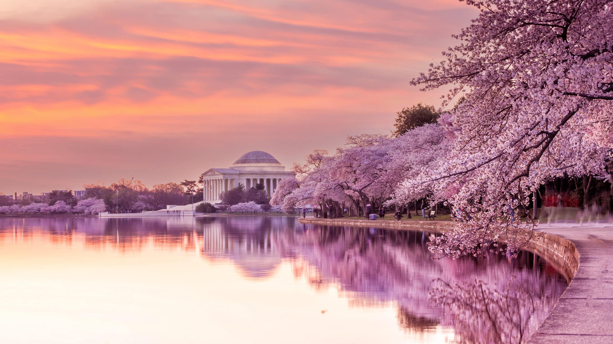 Seasonal Events In Washington D.c.
